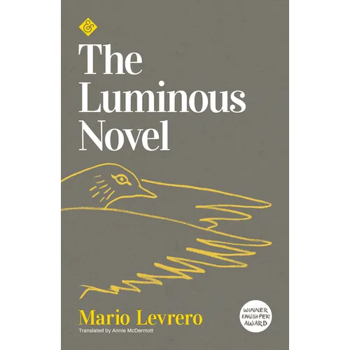 Luminous Novel - Paperback