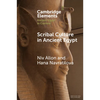 Scribal Culture in Ancient Egypt - Paperback
