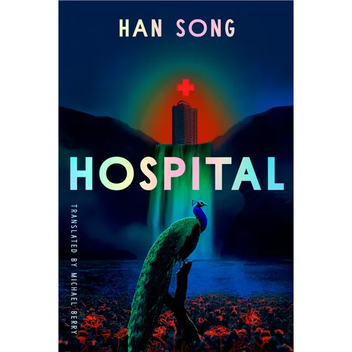 Hospital - Paperback