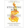 Stealing Fire: How Silicon Valley, the Navy SEALs, and Maverick Scientists Are Revolutionizing the Way We Live and Work - Paperback