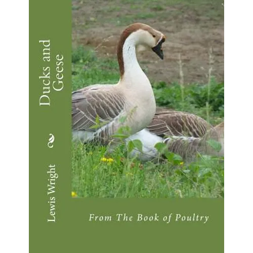 Ducks and Geese: From The Book of Poultry - Paperback