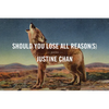 Should You Lose All Reason(s) - Paperback