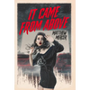 It Came From Above - Hardcover