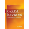 Credit Risk Management: Pricing, Measurement, and Modeling - Paperback