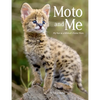 Moto and Me: My Year as a Wildcat's Foster Mom - Paperback
