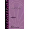 Postclassical Greek and Septuagint Lexicography - Paperback