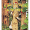 A Rainforest Habitat - Paperback