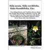 Sida acuta, Sida cordifolia, Sida rhombifolia, Etc.: Everything Science and Tradition Knows about the World's Best Herbal Antibiotics, Used by Million - Paperback