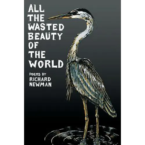 All the Wasted Beauty of the World - Poems - Paperback