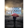 Through the Storm: From Infertility to Supernatural Fertility - Paperback