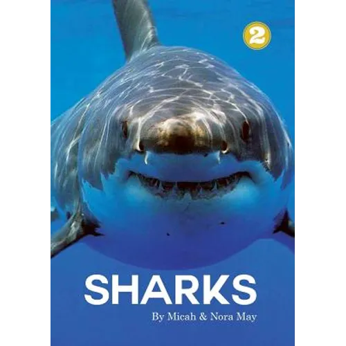 Sharks - Paperback