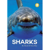 Sharks - Paperback