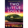 Two Little Souls: An absolutely addictive mystery thriller - Paperback