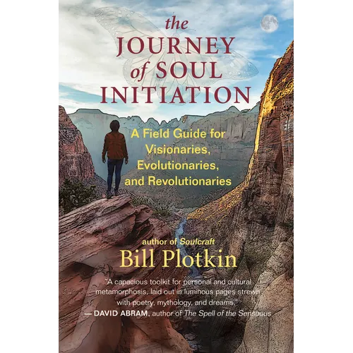 The Journey of Soul Initiation: A Field Guide for Visionaries, Evolutionaries, and Revolutionaries - Paperback