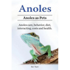 Anoles. Anoles as Pets. Anoles care, behavior, diet, interacting, costs and health. - Paperback