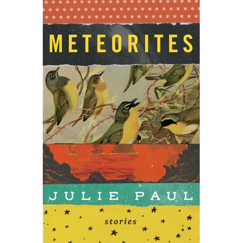 Meteorites: Stories - Paperback