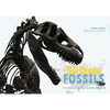 The 50 State Fossils: A Guidebook for Aspiring Paleontologists - Hardcover
