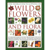 The World Encyclopedia of Wild Flowers & Flora: An Authoritative Guide to More Than 750 Wild Flowers of the World. Beautifully Illustrated with More T - Paperback