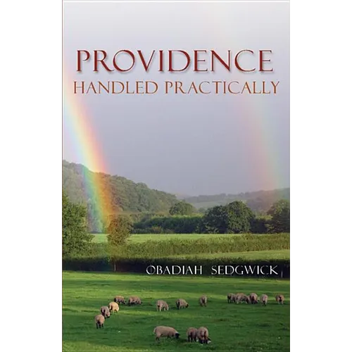 Providence Handled Practically - Paperback