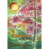Autumn in the Forest: A Seasons in the Forest Book - Paperback