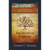The Sinews of Scripture: A Handbook on Biblical Genealogies - Paperback