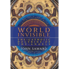 World Invisible: The Catholic Doctrine of the Angels - Hardcover