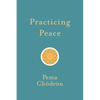 Practicing Peace - Paperback