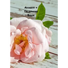 Address and Telephone Book: Address and Telephone Book 7" x 10" 187 pages - Paperback