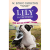 Lily to the Rescue: The Not-So-Stinky Skunk - Paperback