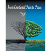 From Emotional Pain to Peace - Paperback