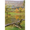 A Sabbatical Primer for Pastors: How to Initiate and Navigate a Spiritual Renewal Leave - Paperback