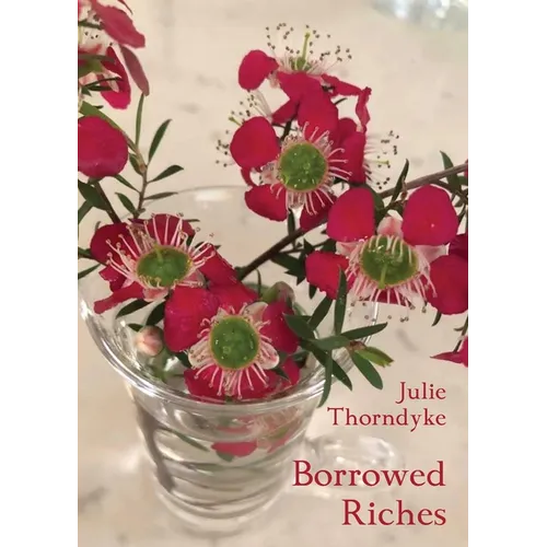 Borrowed Riches - Paperback