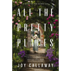 The All the Pretty Places: A Novel of the Gilded Age - Paperback