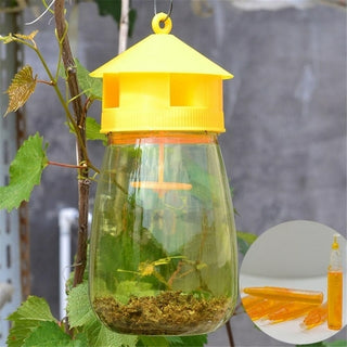 Buy light-yellow 1 PCS Wasp Trap Fruit Fly Flies Insect Bug Hanging Honey Trap Catcher