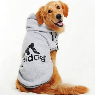 Buy gray Adidog Sport Hoodies