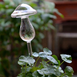 Buy mushroom 6 Types Glass Plant Flowers Water Feeder