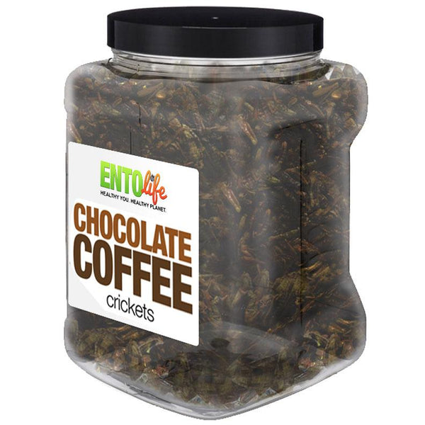 Chocolate Coffee Flavored Cricket Snack - Pound Size