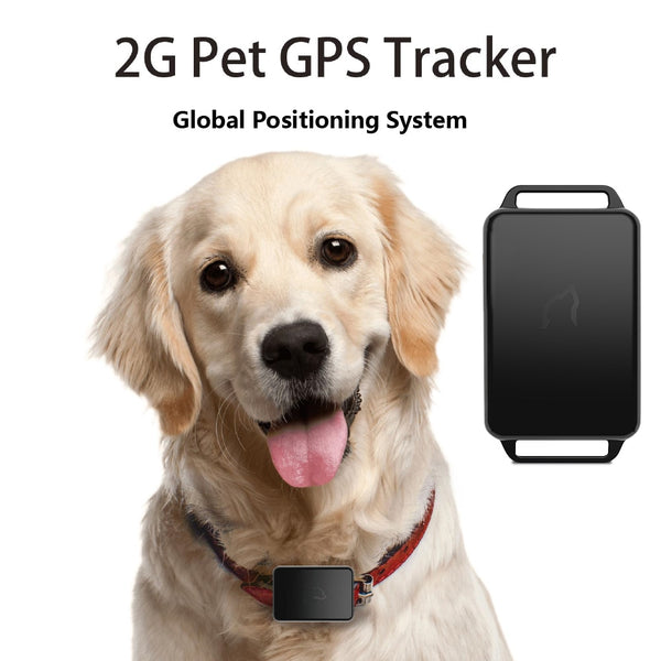 App Control GPS Tracker Dog Mini GPS Tracker Smart