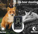 Waterproof Outdoor Hunting Camera 16MP Wild Animal Detector Trail