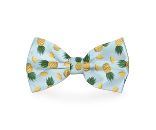 Tropic Like It's Hot Pineapple Dog Bow Tie