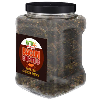 Bacon Chipotle Flavored Cricket Snack - Pound Size