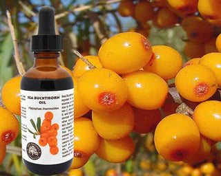 100% Pure Sea Buckthorn Fruit, Berry Oil (Cold