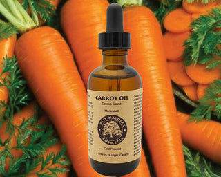 Carrot Oil (Macerated) for dry and mature skin.