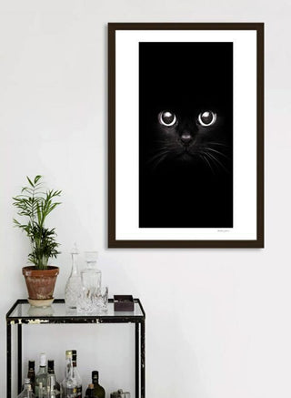The Black Cat  Frame