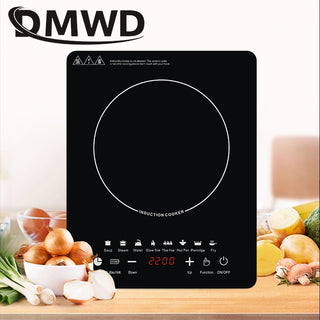 DMWD 110V/220V Electric Induction Cooker